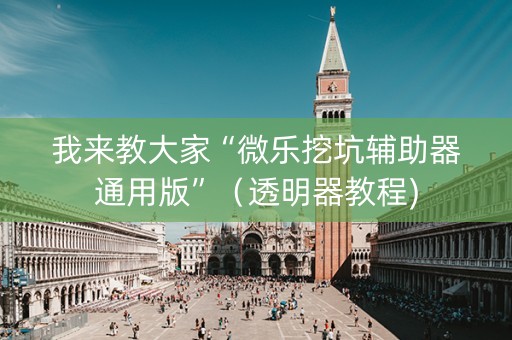 我来教大家“微乐挖坑辅助器通用版”（透明器教程)