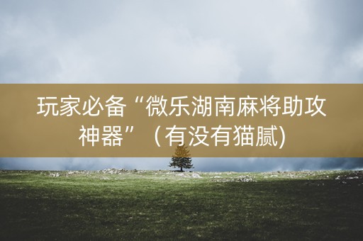 玩家必备“微乐湖南麻将助攻神器”（有没有猫腻)