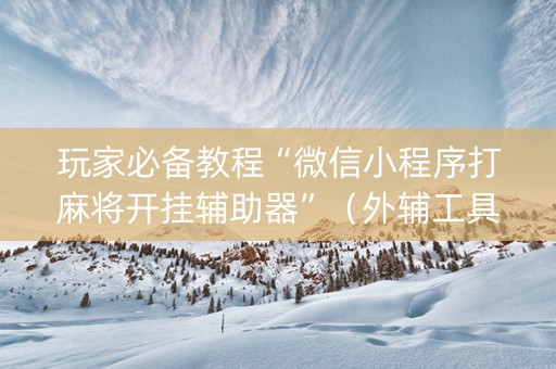 玩家必备教程“微信小程序打麻将开挂辅助器”（外辅工具)