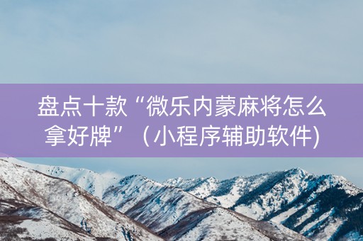 盘点十款“微乐内蒙麻将怎么拿好牌”（小程序辅助软件)