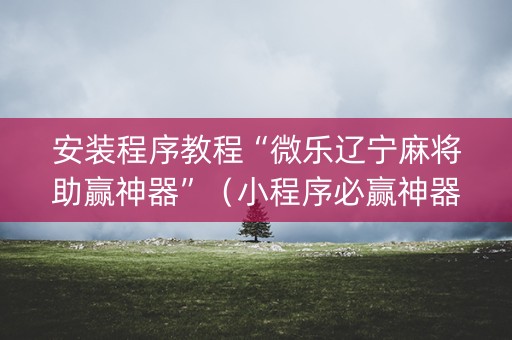 安装程序教程“微乐辽宁麻将助赢神器”（小程序必赢神器)
