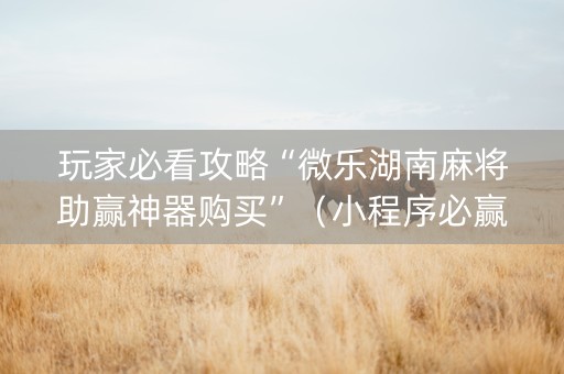 玩家必看攻略“微乐湖南麻将助赢神器购买”（小程序必赢神器)