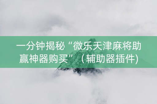 一分钟揭秘“微乐天津麻将助赢神器购买”（辅助器插件)