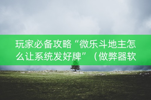 玩家必备攻略“微乐斗地主怎么让系统发好牌”（做弊器软件下载)