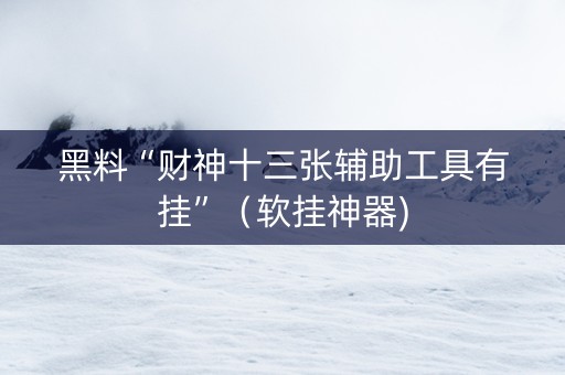 黑料“财神十三张辅助工具有挂”（软挂神器)