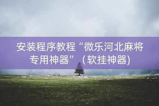 安装程序教程“微乐河北麻将专用神器”（软挂神器)
