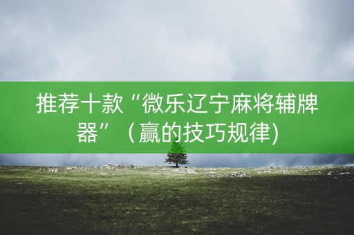 推荐十款“微乐辽宁麻将辅牌器”（赢的技巧规律)