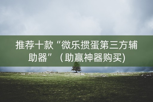 推荐十款“微乐掼蛋第三方辅助器”（助赢神器购买)