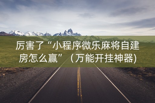 厉害了“小程序微乐麻将自建房怎么赢”（万能开挂神器)