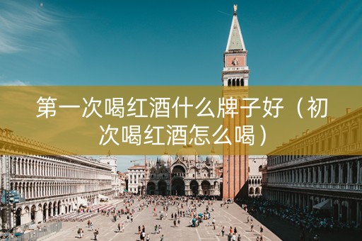 第一次喝红酒什么牌子好（初次喝红酒怎么喝）
