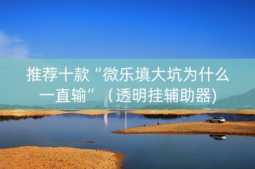 推荐十款“微乐填大坑为什么一直输”（透明挂辅助器)
