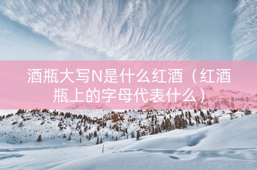 酒瓶大写N是什么红酒（红酒瓶上的字母代表什么）