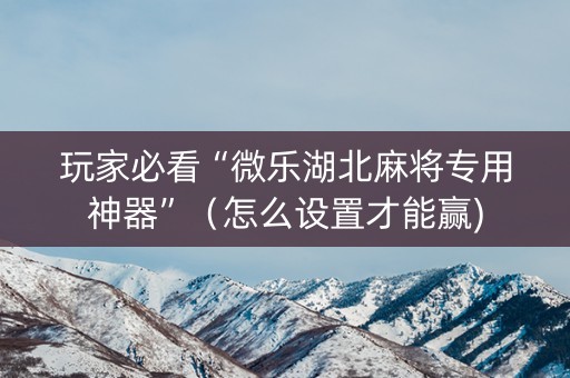 玩家必看“微乐湖北麻将专用神器”（怎么设置才能赢)