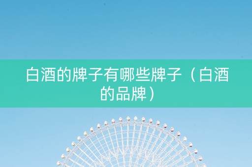 白酒的牌子有哪些牌子（白酒的品牌）