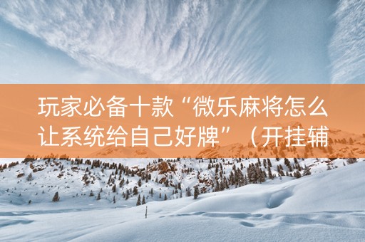 玩家必备十款“微乐麻将怎么让系统给自己好牌”（开挂辅助器插件)