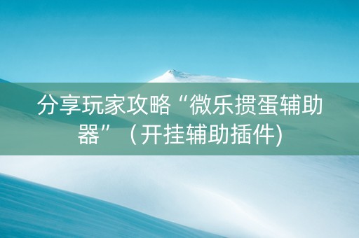 分享玩家攻略“微乐掼蛋辅助器”（开挂辅助插件)