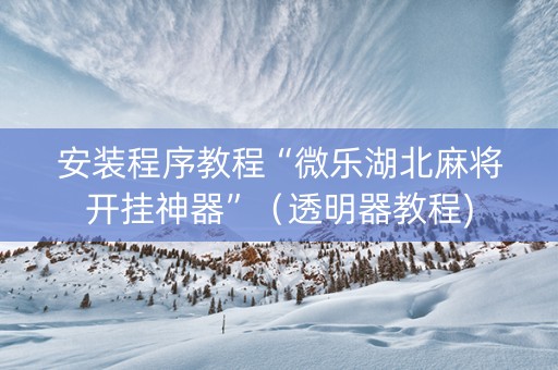 安装程序教程“微乐湖北麻将开挂神器”（透明器教程)
