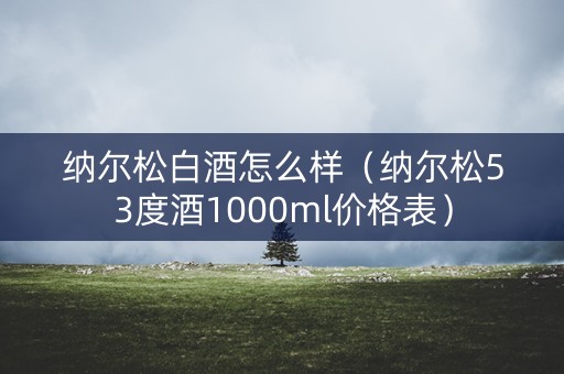 纳尔松白酒怎么样（纳尔松53度酒1000ml价格表）