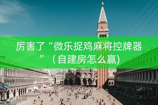 厉害了“微乐捉鸡麻将控牌器”（自建房怎么赢)