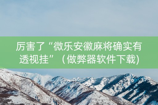 厉害了“微乐安徽麻将确实有透视挂”（做弊器软件下载)