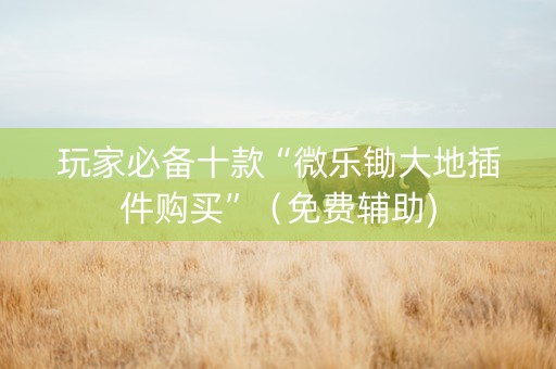 玩家必备十款“微乐锄大地插件购买”（免费辅助)