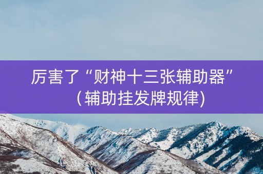 厉害了“财神十三张辅助器”（辅助挂发牌规律)