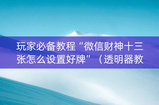 玩家必备教程“微信财神十三张怎么设置好牌”（透明器教程)