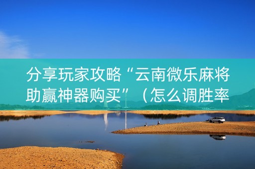 分享玩家攻略“云南微乐麻将助赢神器购买”（怎么调胜率)
