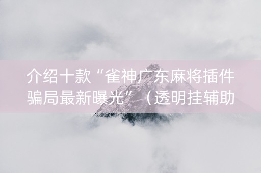 介绍十款“雀神广东麻将插件骗局最新曝光”（透明挂辅助器)