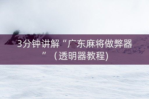 3分钟讲解“广东麻将做弊器”（透明器教程)