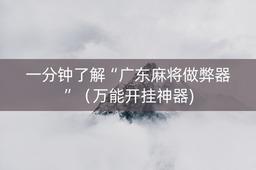 一分钟了解“广东麻将做弊器”（万能开挂神器)