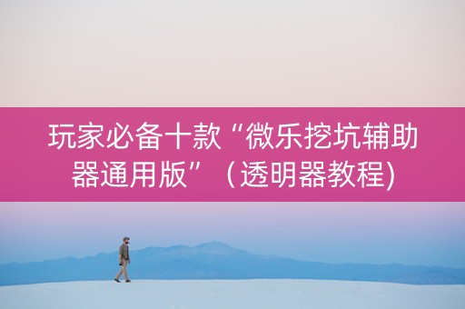 玩家必备十款“微乐挖坑辅助器通用版”（透明器教程)