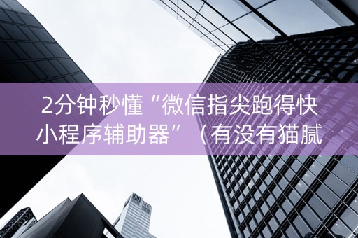 2分钟秒懂“微信指尖跑得快小程序辅助器”（有没有猫腻)