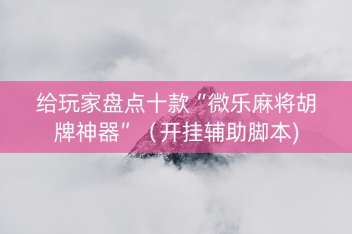 给玩家盘点十款“微乐麻将胡牌神器”（开挂辅助脚本)