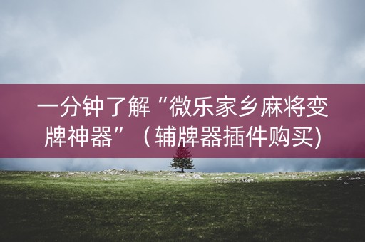 一分钟了解“微乐家乡麻将变牌神器”（辅牌器插件购买)