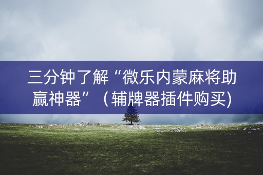三分钟了解“微乐内蒙麻将助赢神器”（辅牌器插件购买)