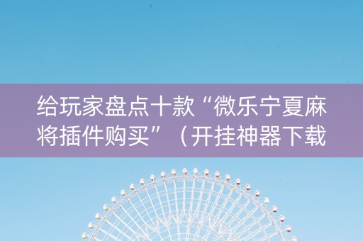 给玩家盘点十款“微乐宁夏麻将插件购买”（开挂神器下载)