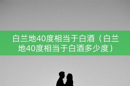 白兰地40度相当于白酒（白兰地40度相当于白酒多少度）