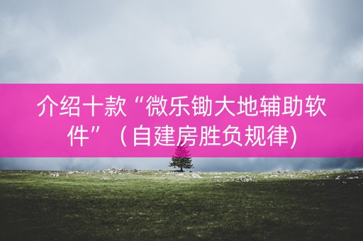 介绍十款“微乐锄大地辅助软件”（自建房胜负规律)
