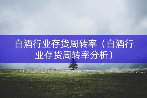 白酒行业存货周转率（白酒行业存货周转率分析）