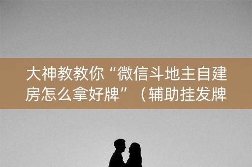 大神教教你“微信斗地主自建房怎么拿好牌”（辅助挂发牌规律)