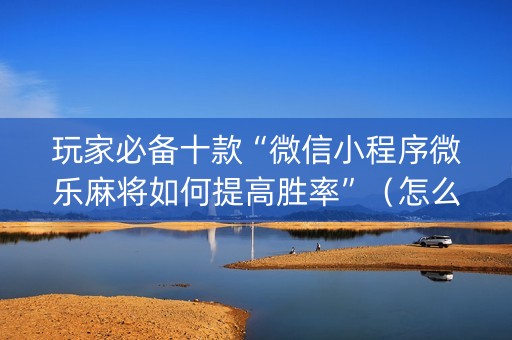 玩家必备十款“微信小程序微乐麻将如何提高胜率”（怎么让系统给自己好牌)