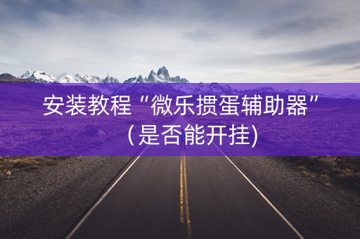 安装教程“微乐掼蛋辅助器”（是否能开挂)