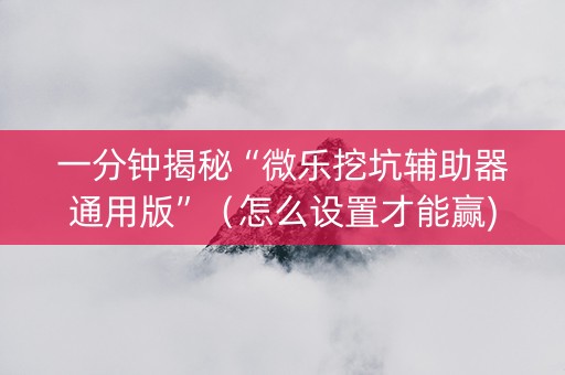 一分钟揭秘“微乐挖坑辅助器通用版”（怎么设置才能赢)