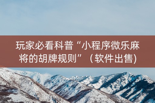 玩家必看科普“小程序微乐麻将的胡牌规则”（软件出售)