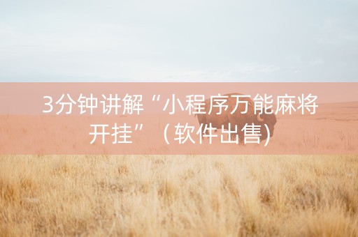 3分钟讲解“小程序万能麻将开挂”（软件出售)