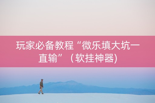 玩家必备教程“微乐填大坑一直输”（软挂神器)