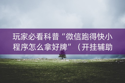 玩家必看科普“微信跑得快小程序怎么拿好牌”（开挂辅助脚本)