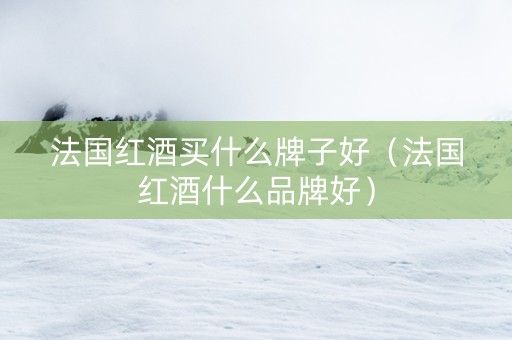 法国红酒买什么牌子好（法国红酒什么品牌好）