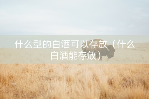 什么型的白酒可以存放（什么白酒能存放）